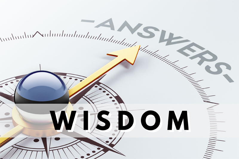 Wisdom